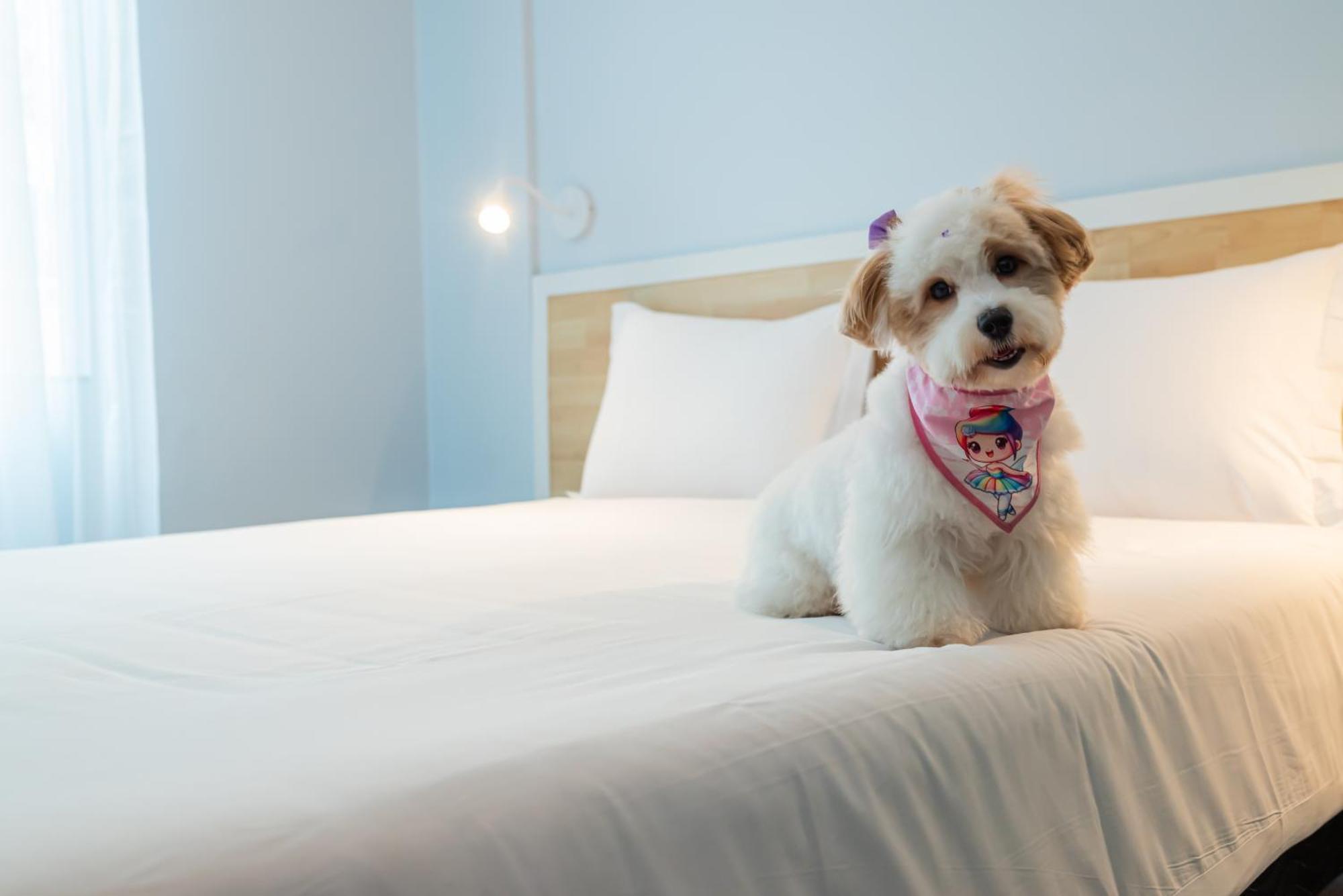 Hotel Ibis Styles 4*