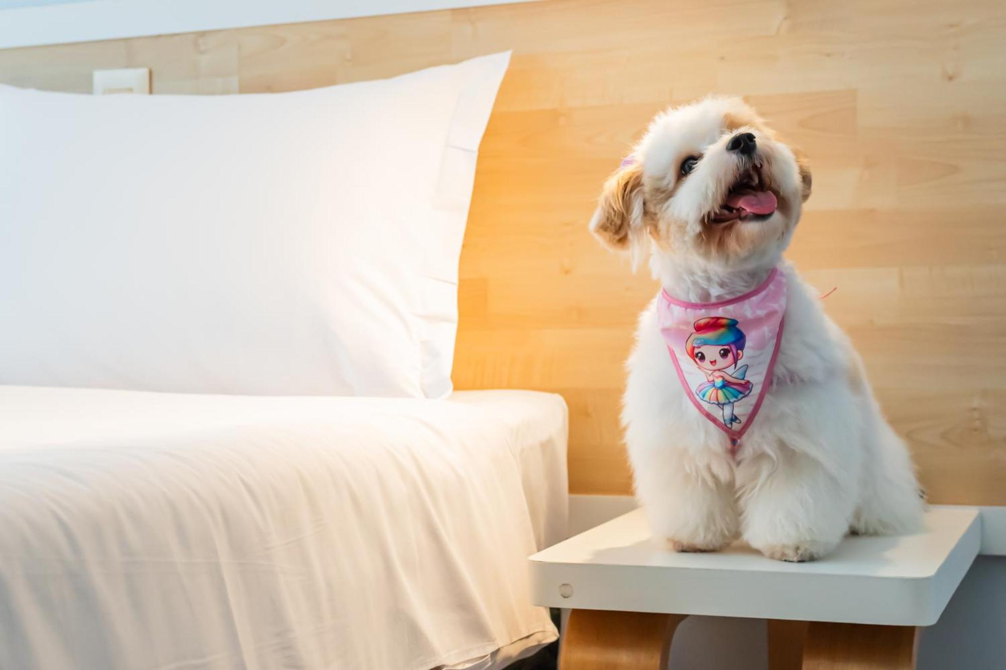 Ibis Styles 4* Manaus