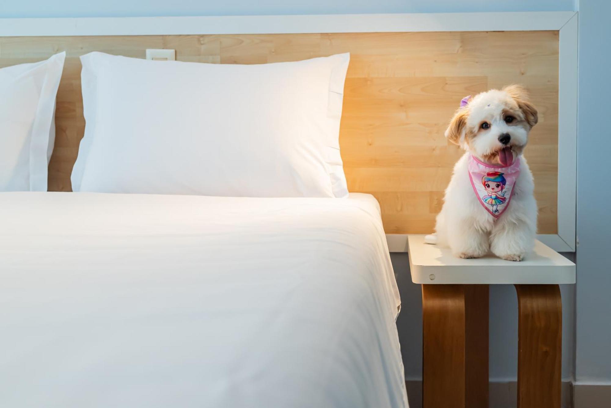 Ibis Styles 4* Manaus